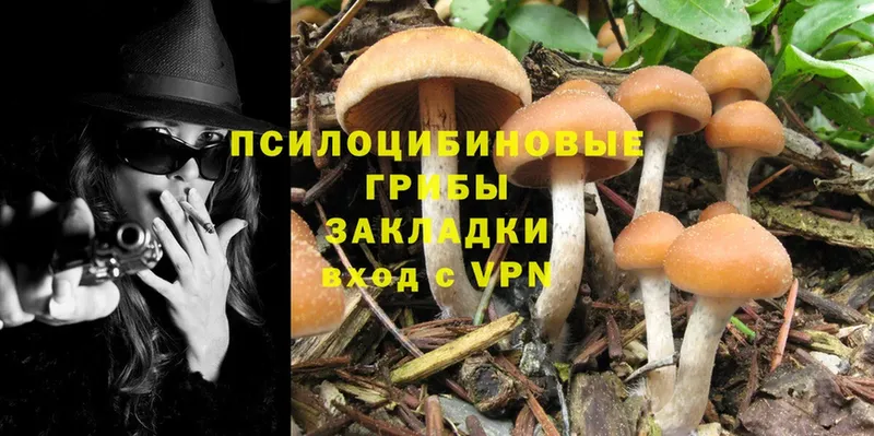 hydra ссылки  Губкин  Псилоцибиновые грибы MAGIC MUSHROOMS 