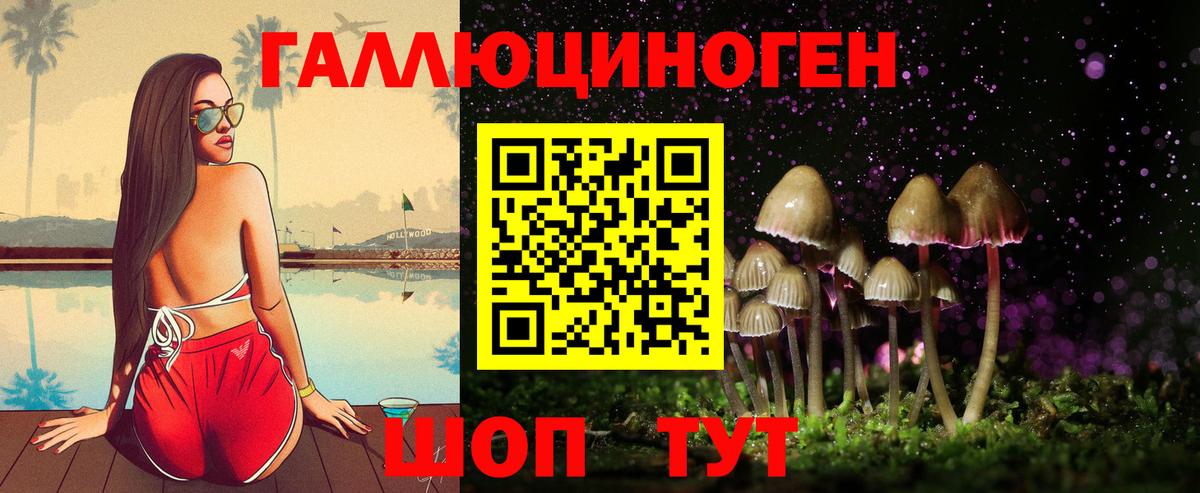 Псилоцибиновые грибы прущие грибы Губкин