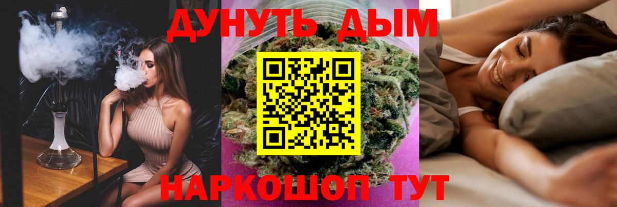 Конопля планчик  Каннабис сатива  Канабис планчик  Вход с VPN  Губкин  Каннабис AK-47 